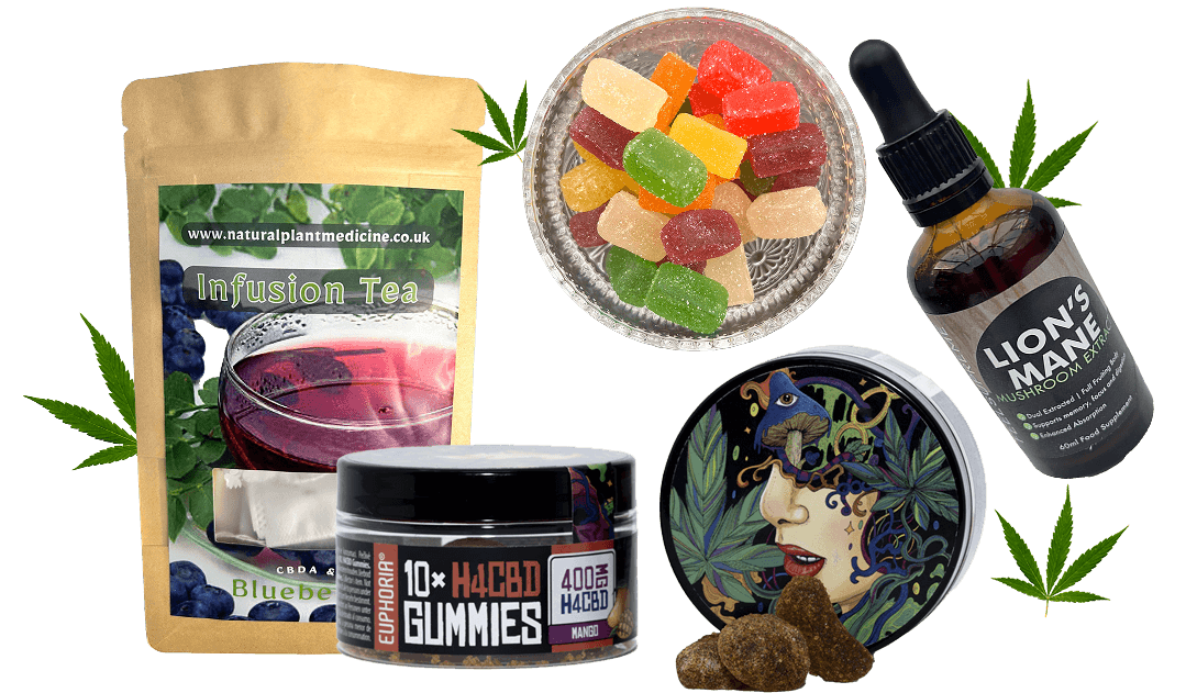 Discover Wellness with Our CBD Products From Pain Relief to Pet Care! Discover Wellness with Our CBD Products From Pain Relief to Pet Care!